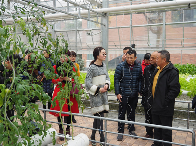 走進(jìn)東辰、多方共融、攜手共進(jìn)